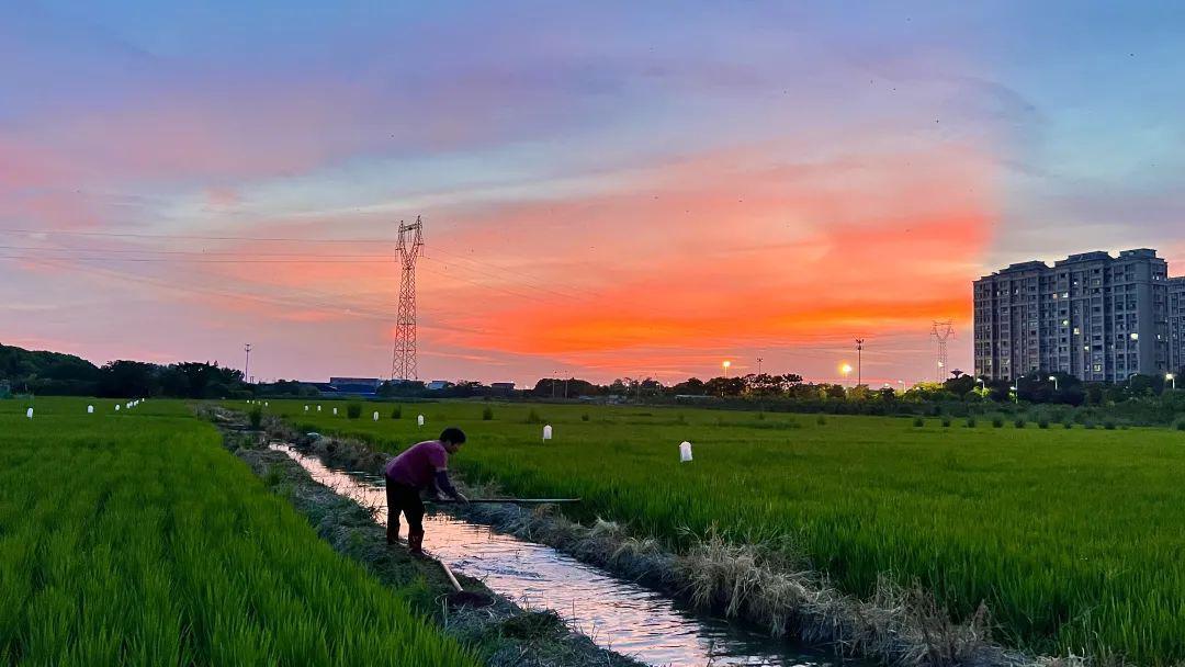 富硒大米盒装（大米盒装富硒标准）-硒宝网