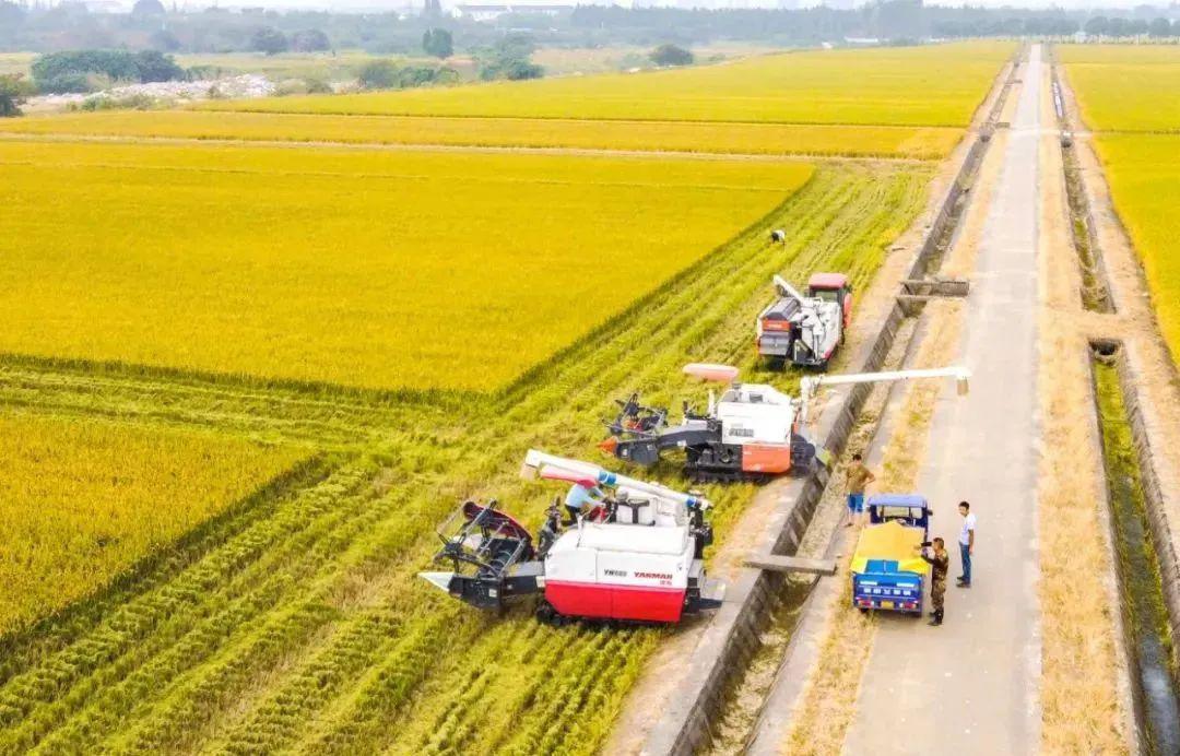 富硒大米盒装（大米盒装富硒标准）-硒宝网