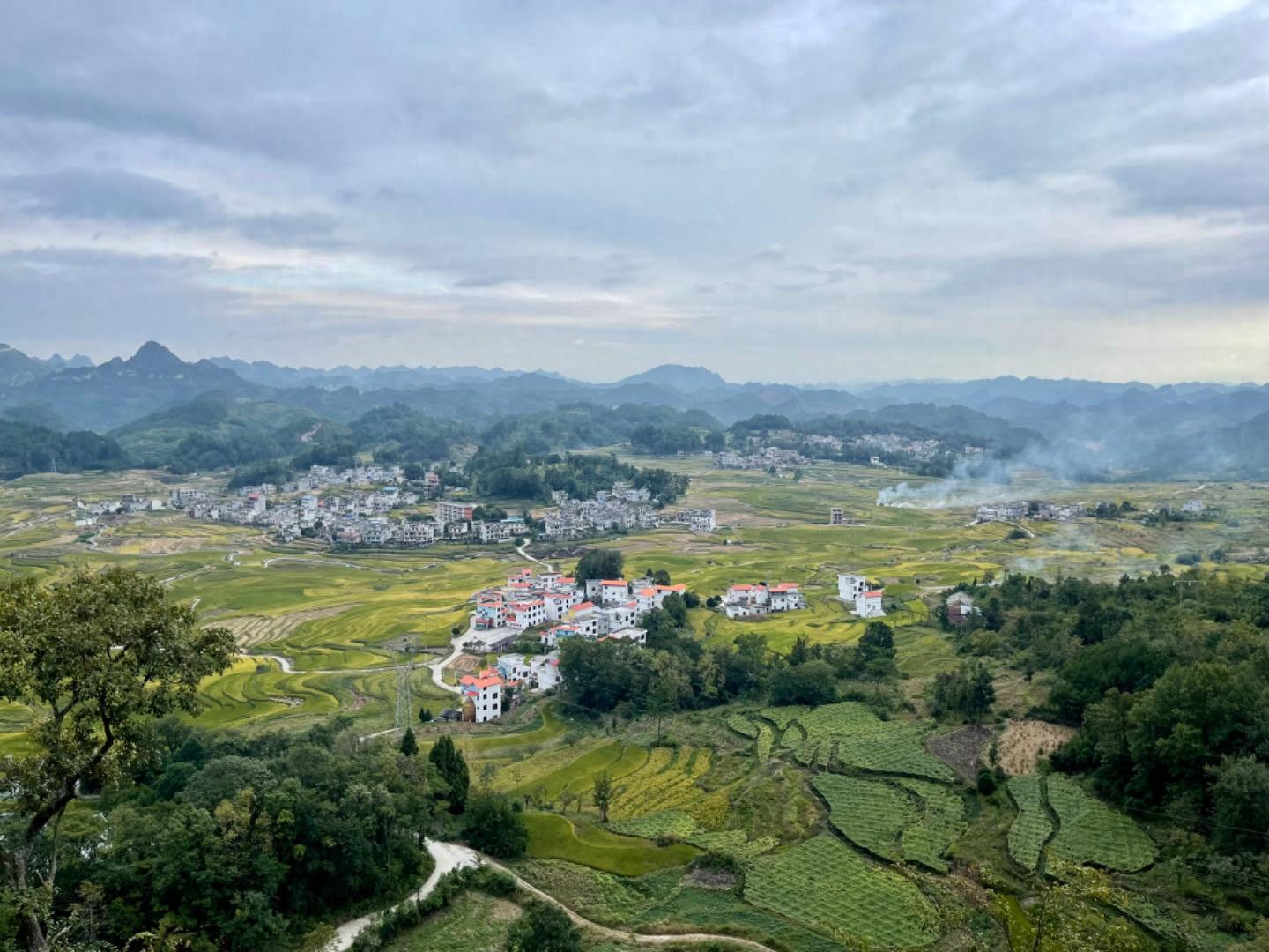 河池富硒大米(贺州富硒大米)-硒宝网