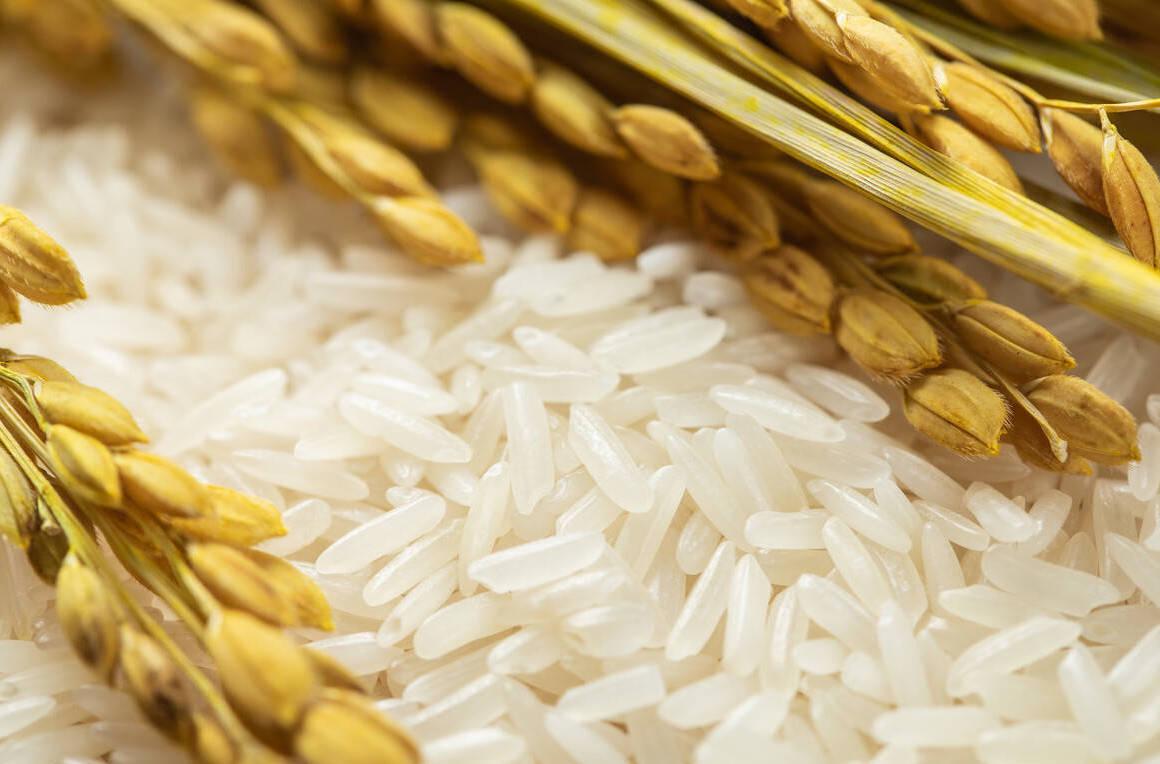 富硒大米地带(富硒的大米)-硒宝网