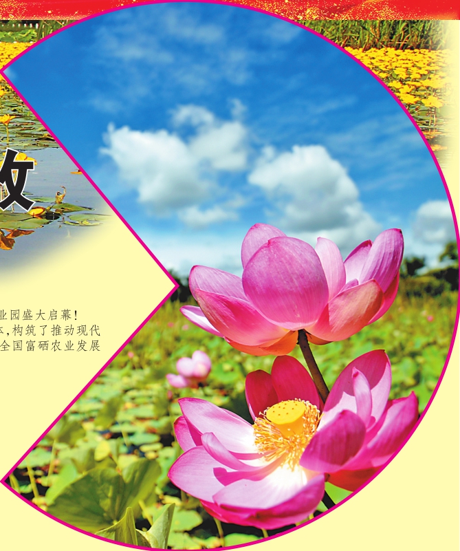 富硒大米黑色(大米黑色富硒图片)-硒宝网