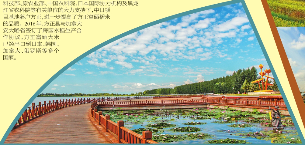 富硒大米黑色(大米黑色富硒图片)-硒宝网