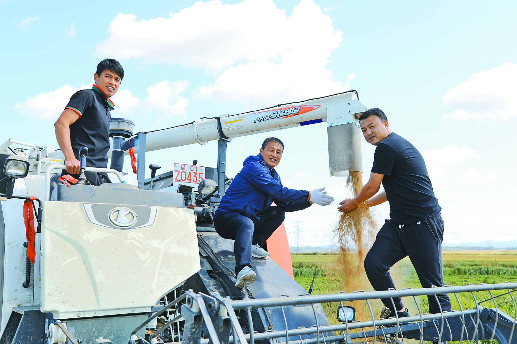 富硒大米黑色(大米黑色富硒图片)-硒宝网