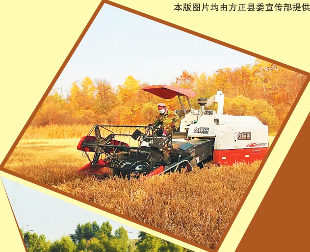 富硒大米黑色(大米黑色富硒图片)-硒宝网