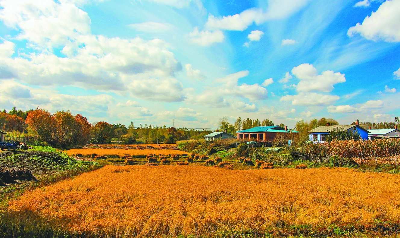 富硒大米黑色(大米黑色富硒图片)-硒宝网