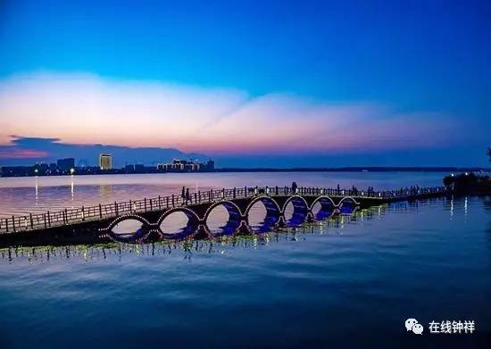 袁氏富硒大米(原阳富硒大米)-硒宝网