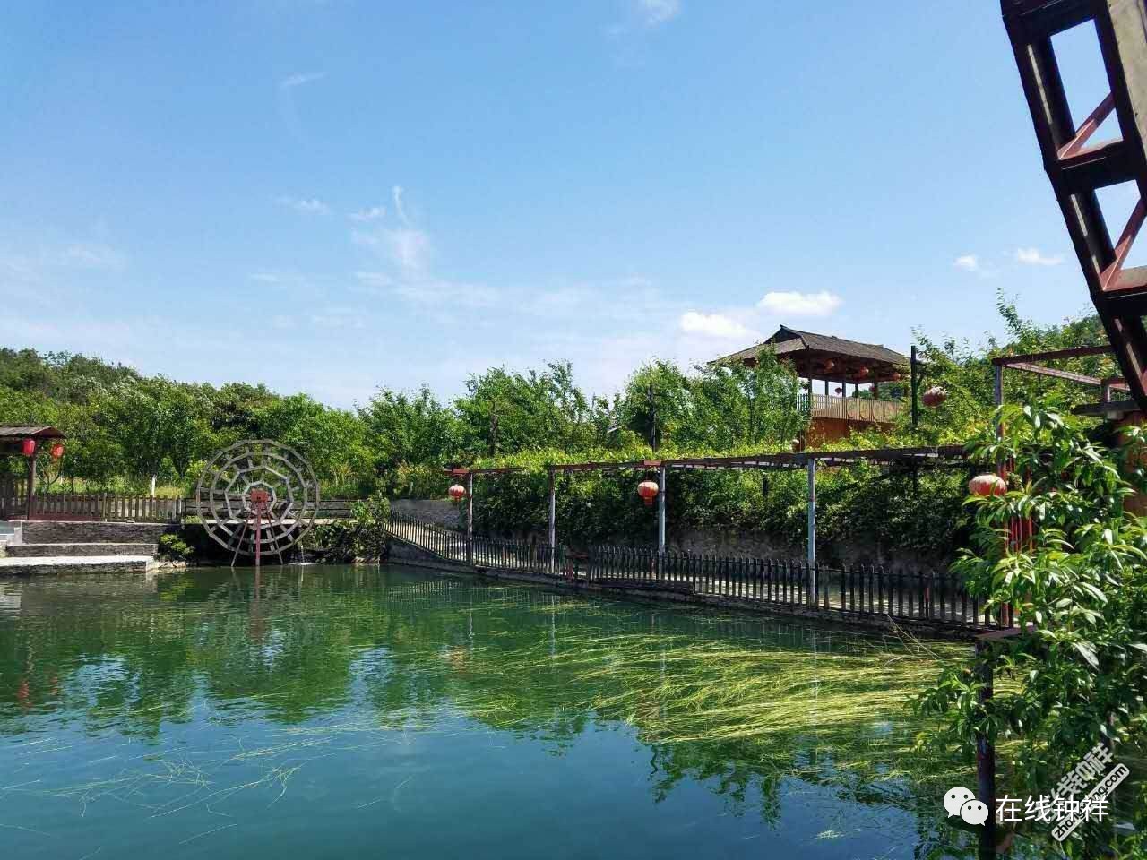 袁氏富硒大米(原阳富硒大米)-硒宝网