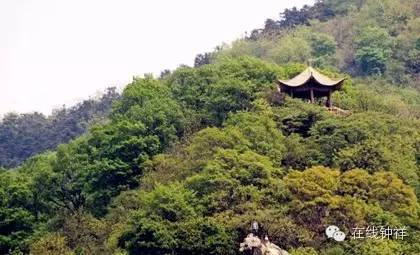 袁氏富硒大米(原阳富硒大米)-硒宝网