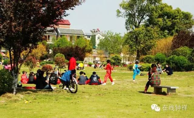 袁氏富硒大米(原阳富硒大米)-硒宝网