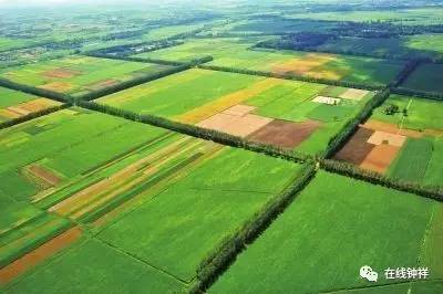 袁氏富硒大米(原阳富硒大米)-硒宝网