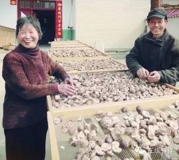 袁氏富硒大米(原阳富硒大米)-硒宝网