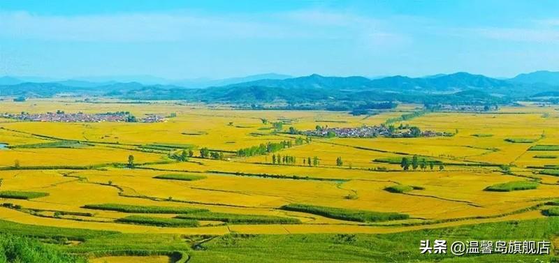 富硒盘锦大米(盘锦富硒大米多少钱一斤)-硒宝网