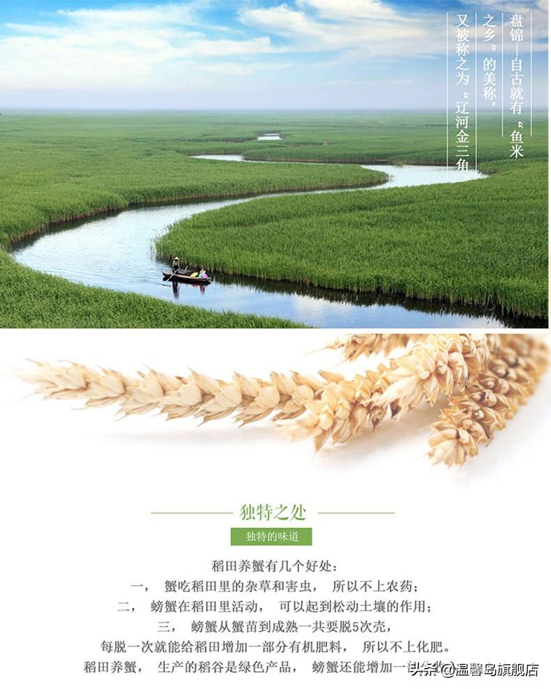 富硒盘锦大米(盘锦富硒大米多少钱一斤)-硒宝网