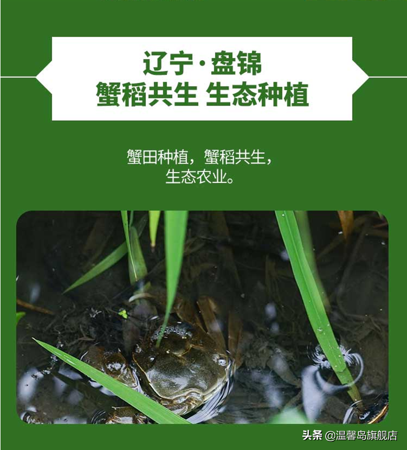 富硒盘锦大米(盘锦富硒大米多少钱一斤)-硒宝网