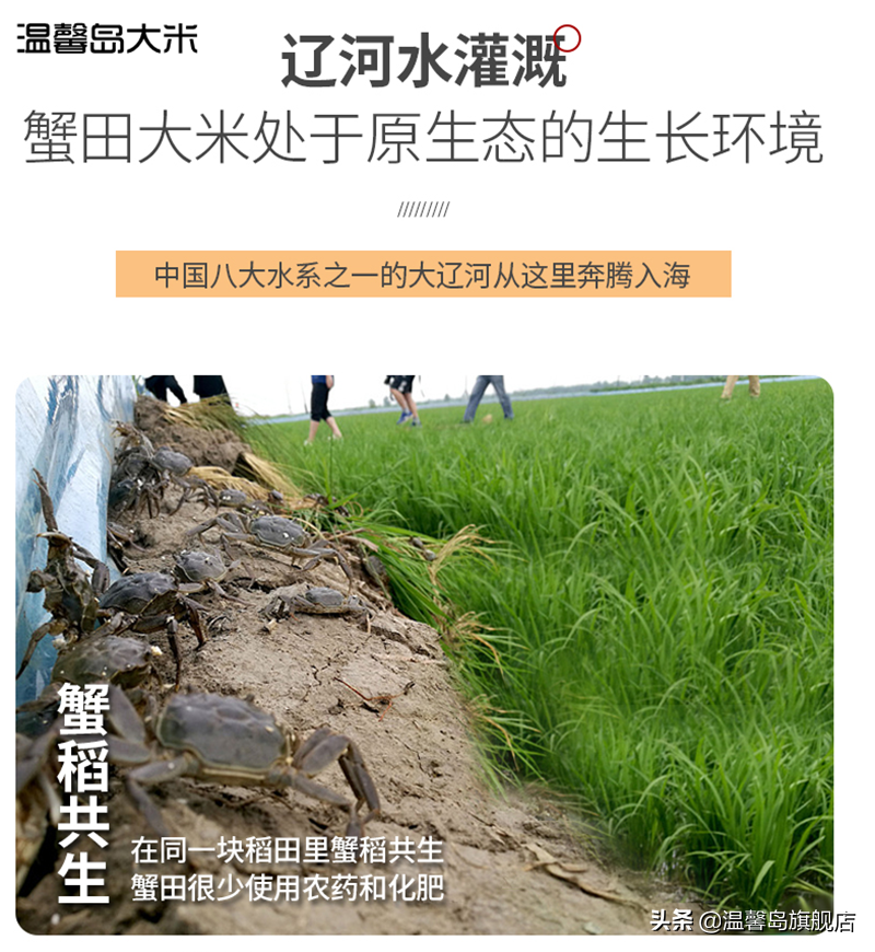 富硒盘锦大米(盘锦富硒大米多少钱一斤)-硒宝网