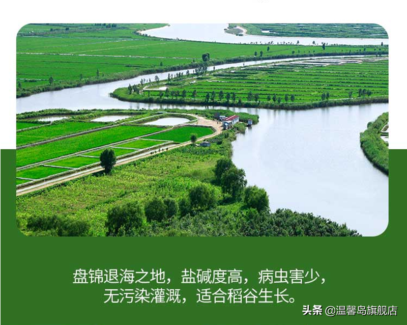 富硒盘锦大米(盘锦富硒大米多少钱一斤)-硒宝网