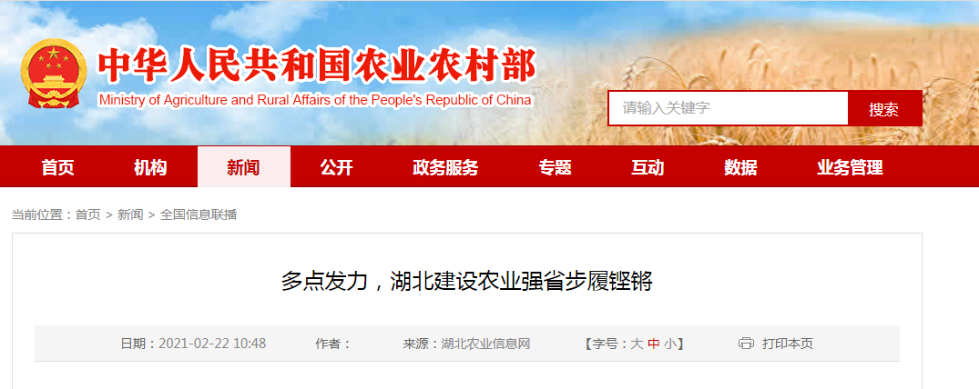 随州富硒大米（湖北富硒大米）-硒宝网