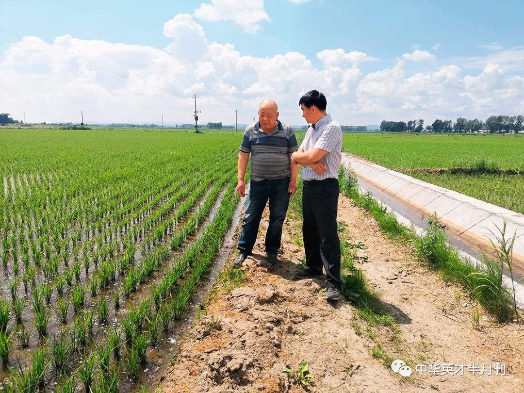 富阳富硒大米（富硒大米口感如何）-硒宝网