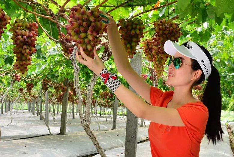 绵阳富硒大米（富锦富硒大米）-硒宝网