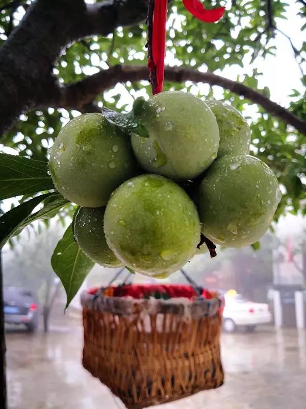 绵阳富硒大米（富锦富硒大米）-硒宝网