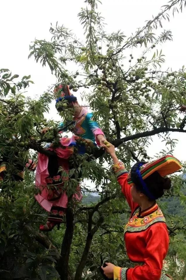 绵阳富硒大米（富锦富硒大米）-硒宝网