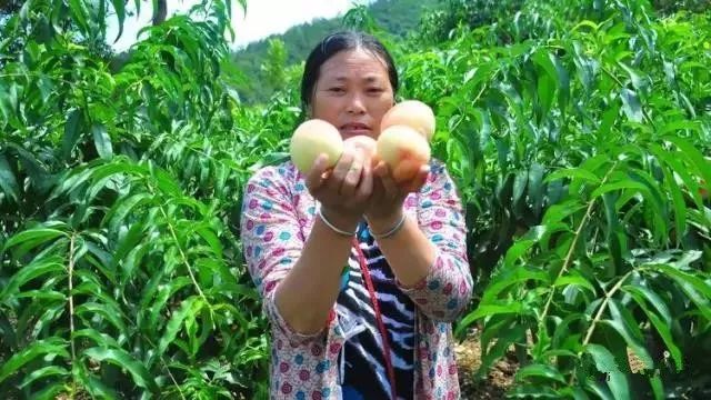 绵阳富硒大米（富锦富硒大米）-硒宝网