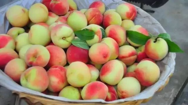 绵阳富硒大米（富锦富硒大米）-硒宝网