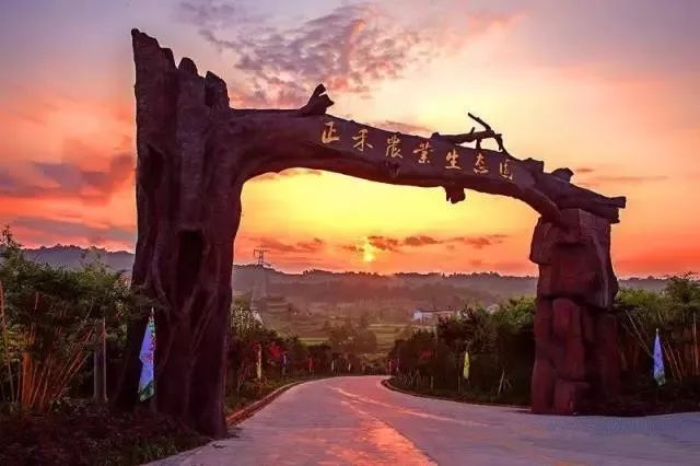 绵阳富硒大米（富锦富硒大米）-硒宝网