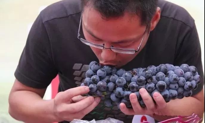 绵阳富硒大米（富锦富硒大米）-硒宝网