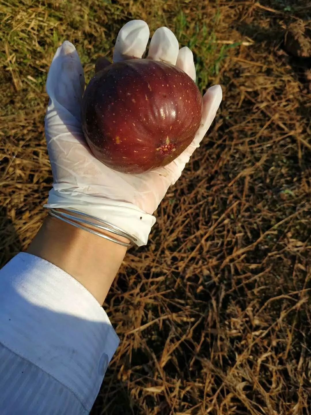 绵阳富硒大米（富锦富硒大米）-硒宝网