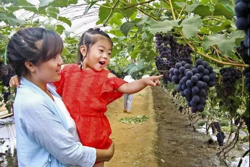 绵阳富硒大米（富锦富硒大米）-硒宝网