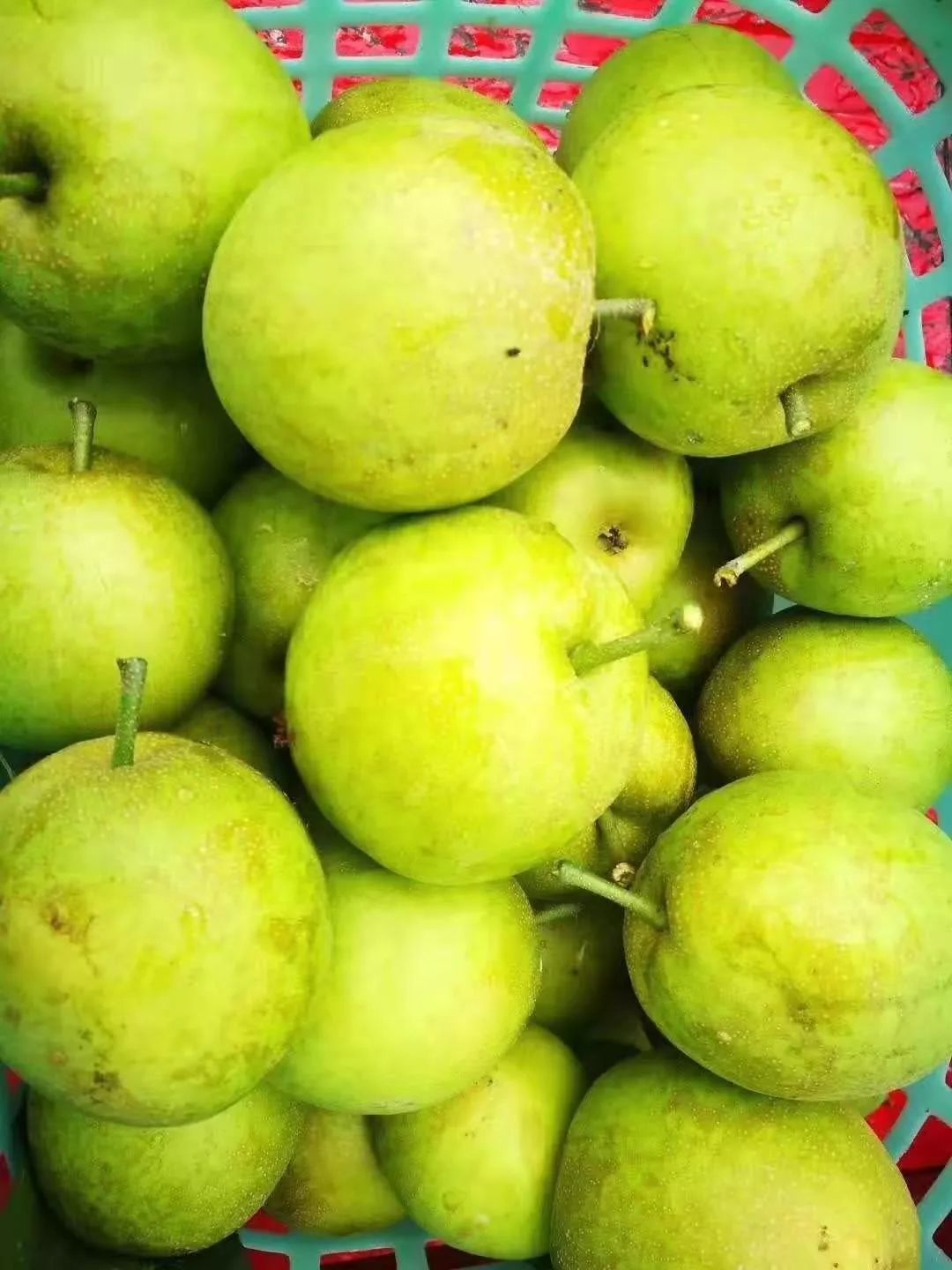 绵阳富硒大米（富锦富硒大米）-硒宝网