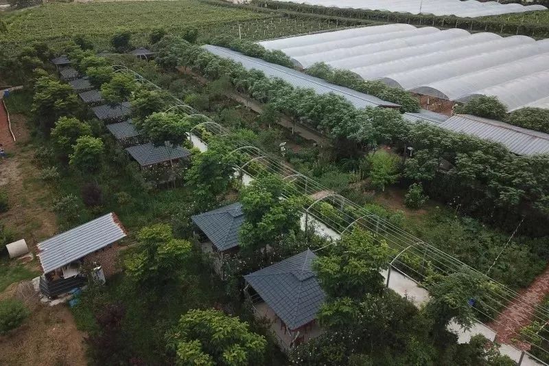 绵阳富硒大米（富锦富硒大米）-硒宝网