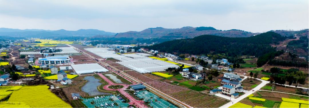 绵阳富硒大米（富锦富硒大米）-硒宝网