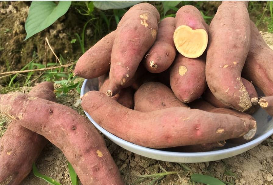 富硒大米减肥(富硒大米降血糖吗)-硒宝网