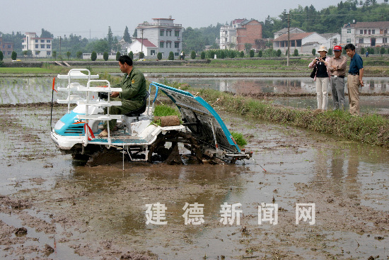建始富硒大米(富硒大米市场前景)-硒宝网