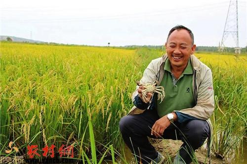富硒盘锦大米(富锦富硒大米)-硒宝网