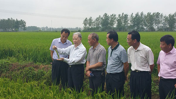 丹棱富硒大米(富硒大米营养价值)-硒宝网