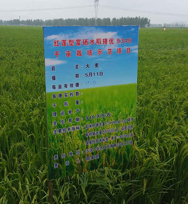 丹棱富硒大米(富硒大米营养价值)-硒宝网