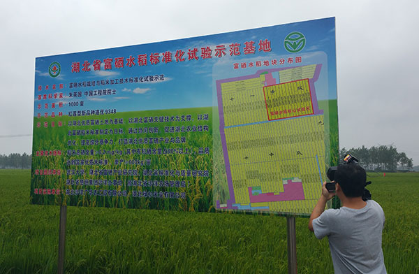 丹棱富硒大米(富硒大米营养价值)-硒宝网