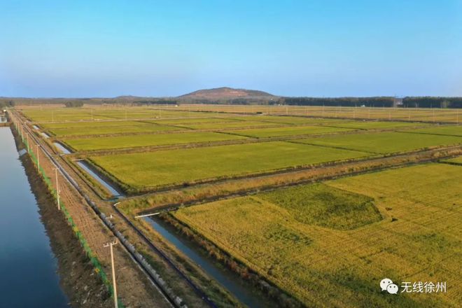富硒大米发酵（大米发酵富硒含量）-硒宝网