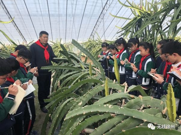 富硒大米发酵（大米发酵富硒含量）-硒宝网