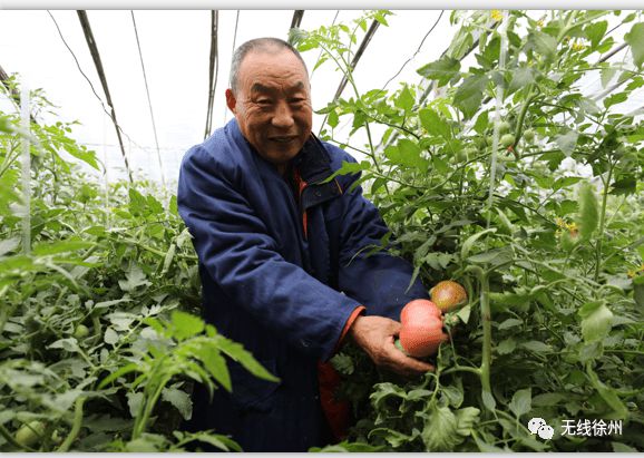 富硒大米发酵（大米发酵富硒含量）-硒宝网