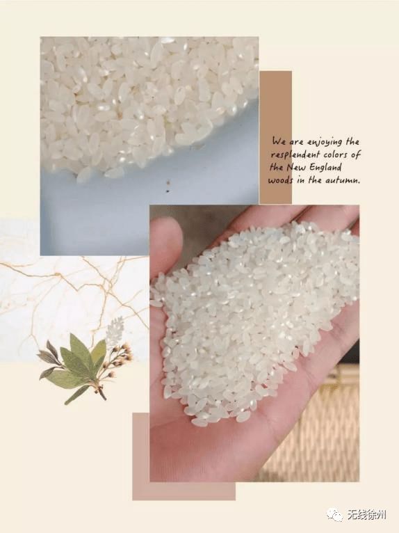 富硒大米发酵（大米发酵富硒含量）-硒宝网