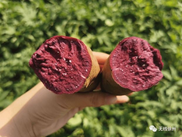 富硒大米发酵（大米发酵富硒含量）-硒宝网