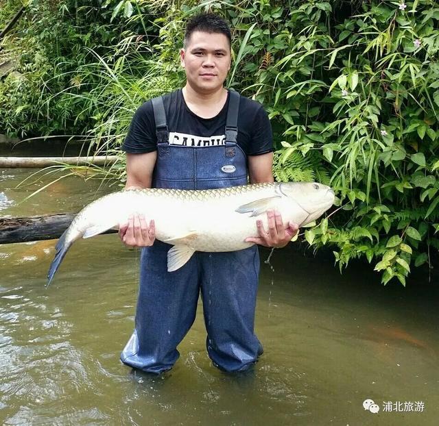 浦北富硒大米（蒲塘富硒大米）-硒宝网
