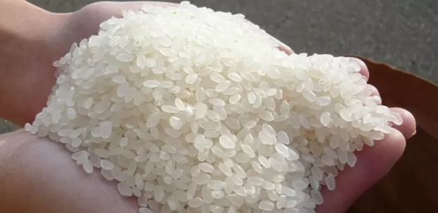 伊犁富硒大米（新疆富硒大米）-硒宝网