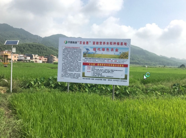 大米有机富硒（大米机富硒有什么作用）-硒宝网