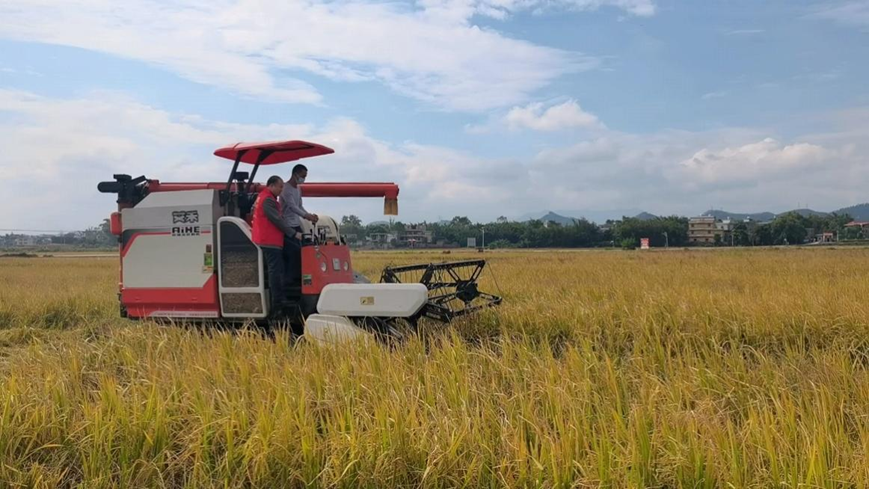 柳林富硒大米（绥柳富硒大米）-硒宝网