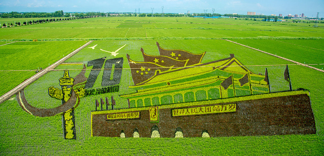 山村富硒大米(富硒优质大米)-硒宝网